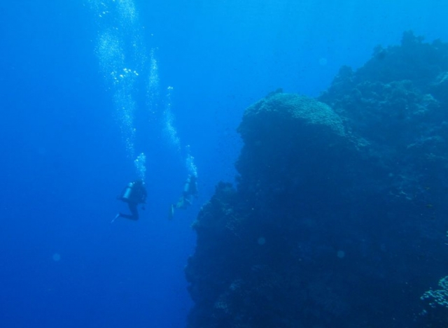  Submerged next to rock formations 